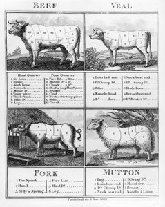 Carne, carne de vitela, carne de porco e cortes de carne de carneiro, 1802 de English School